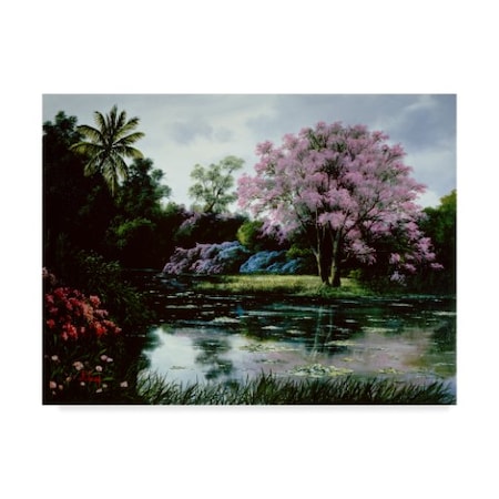 Anthony Casay 'Lake Garden' Canvas Art,24x32